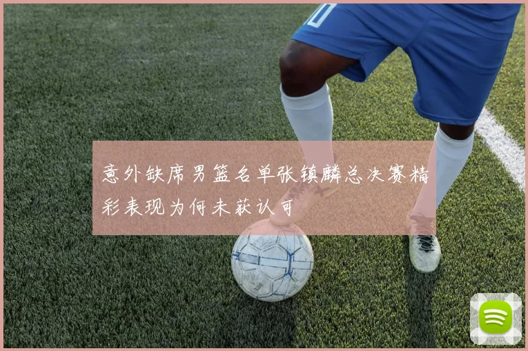 意外缺席男篮名单张镇麟总决赛精彩表现为何未获认可