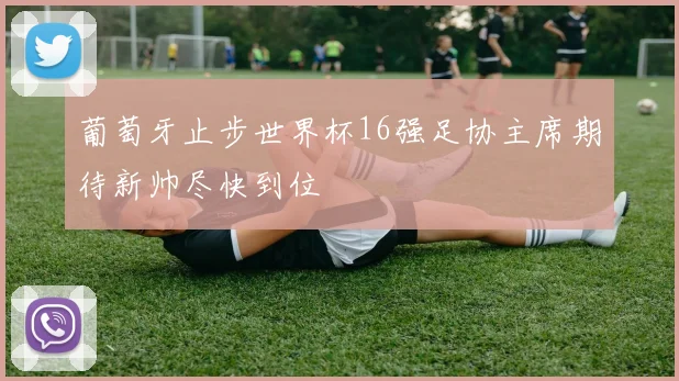 葡萄牙止步世界杯16强足协主席期待新帅尽快到位